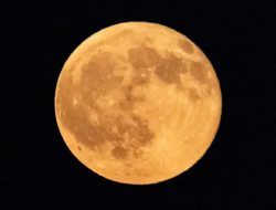 BMKG Ajak Masyarakat Mengenali Harvest Moon yang Hiasi Langit Indonesia 26 September 2026