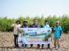 Bio Farma Libatkan Karyawan Dalam Program Mangrove For Life Jaga Keberlanjutan Ekosistem Pesisir
