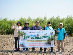Bio Farma Libatkan Karyawan Dalam Program Mangrove For Life Jaga Keberlanjutan Ekosistem Pesisir